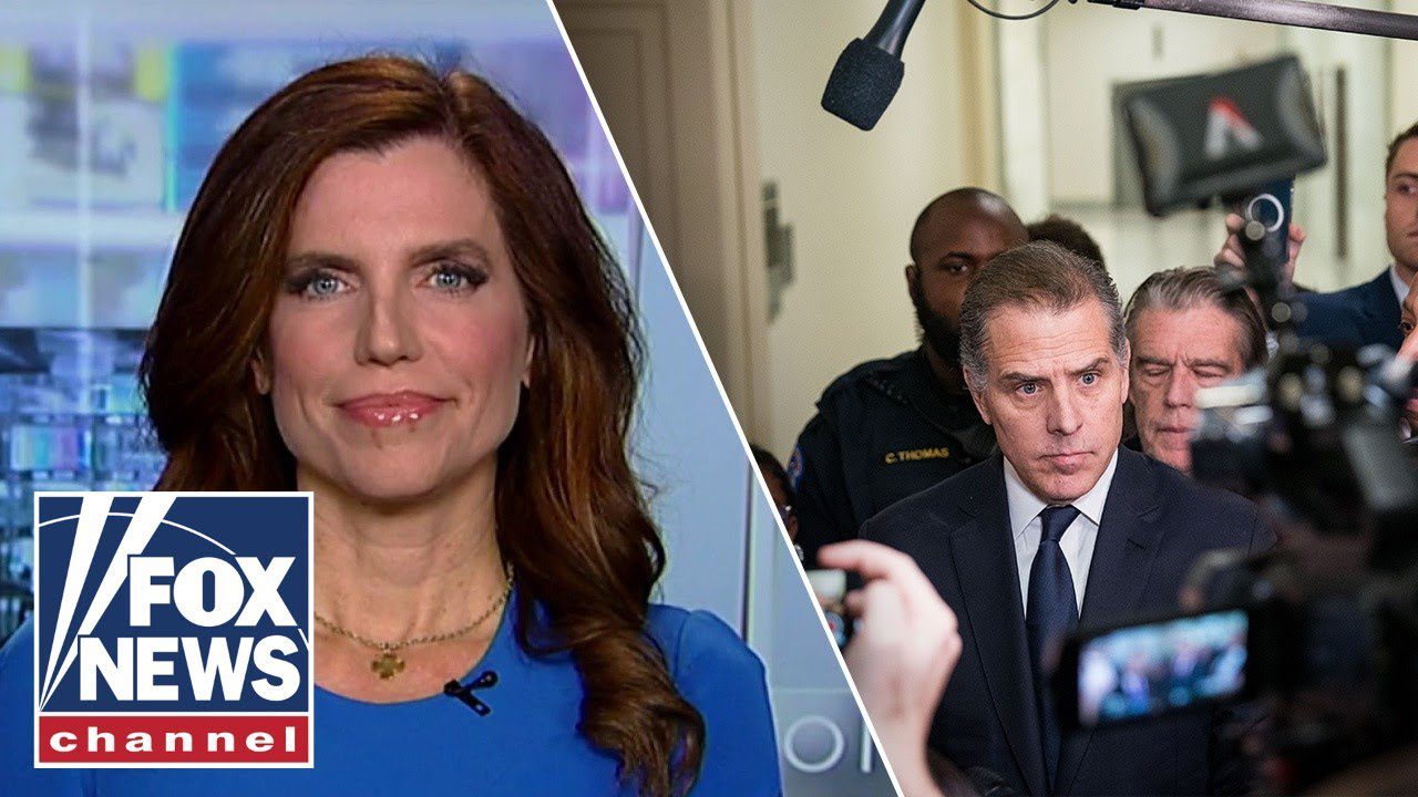 Nancy Mace Calls Out Hunter Biden: ‘You Are The Epitome Of White ...