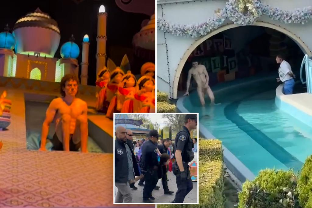 Streaker Is Arrested After Parading Around Disneyland S It S A Small World Ride Total News