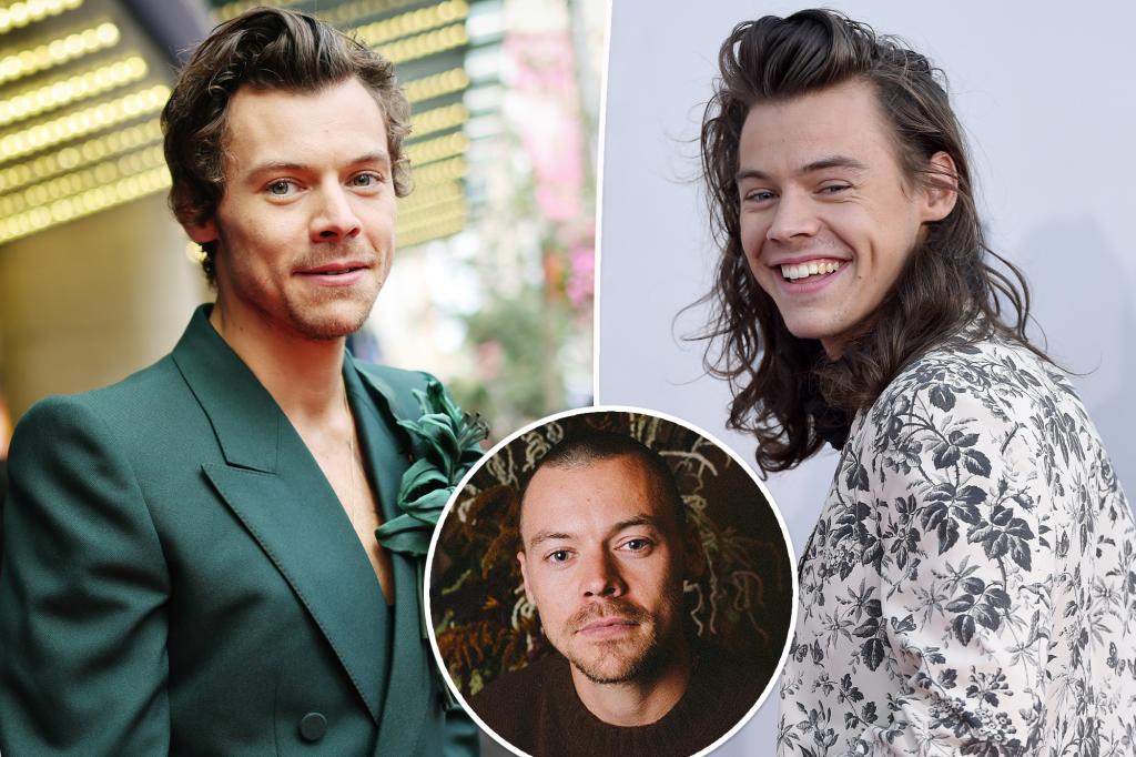 Harry Styles gives a closer look at his shaved head, fans divided on ...