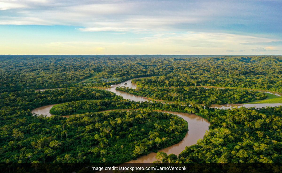 3,000-Year-Old City Hidden In Amazon Rainforest Discovered - Total News