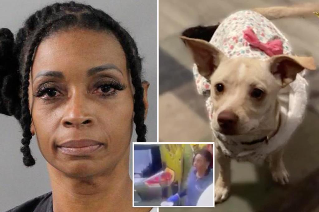 Florida Nurse Accused Of Killing Neighbor’s Cats, Pregnant Dog With ...