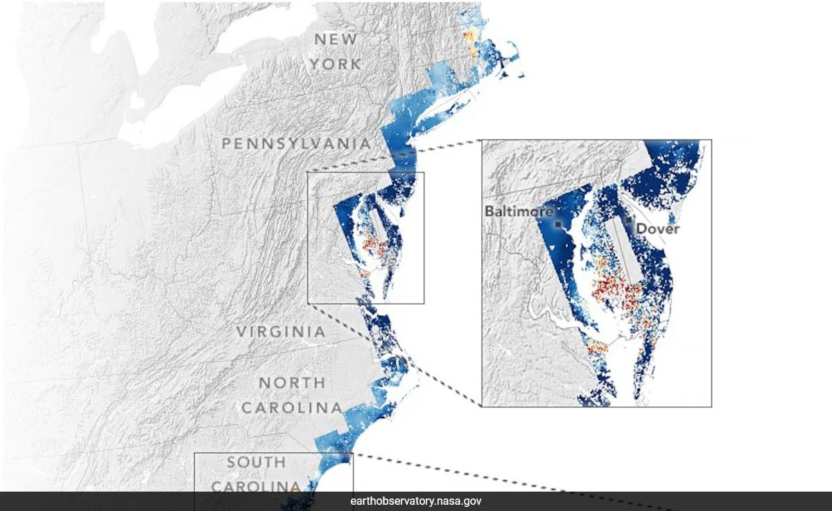 Major US Cities Sinking Faster Than You Think, Warns NASA - Total News