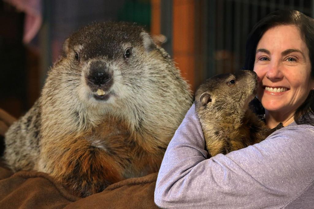 what happens if a groundhog dies before groundhog day