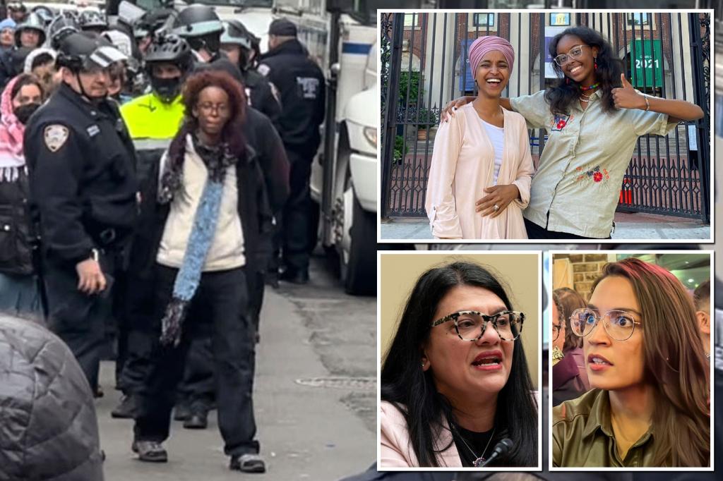 AOC, Rashida Tlaib call out arrest of ‘Squad’ member Ilhan Omar’s ...