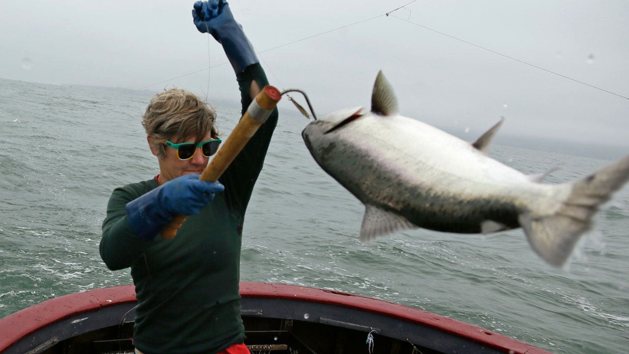 CA Salmon Fishing Canceled For Second Year In Row As Population Wanes ...