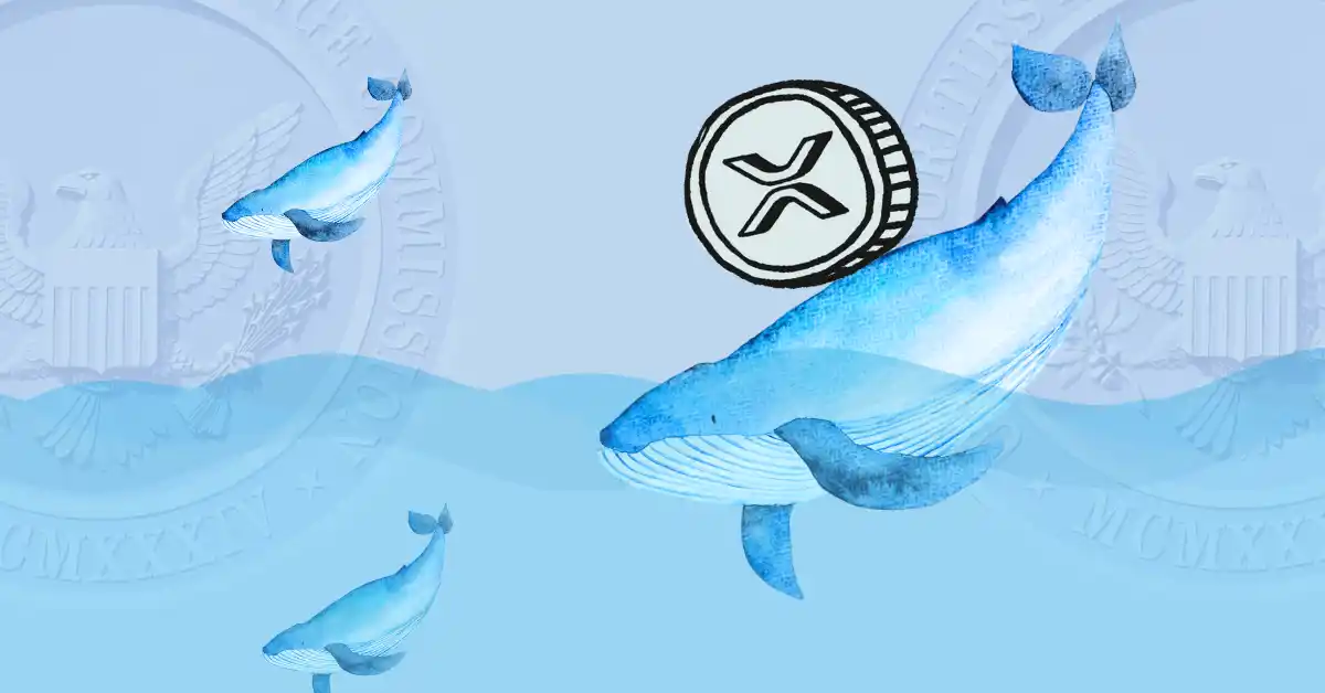 Whales Move 28m Xrp Before Ripple Vs Secs May 6th Deadline Coinpedia