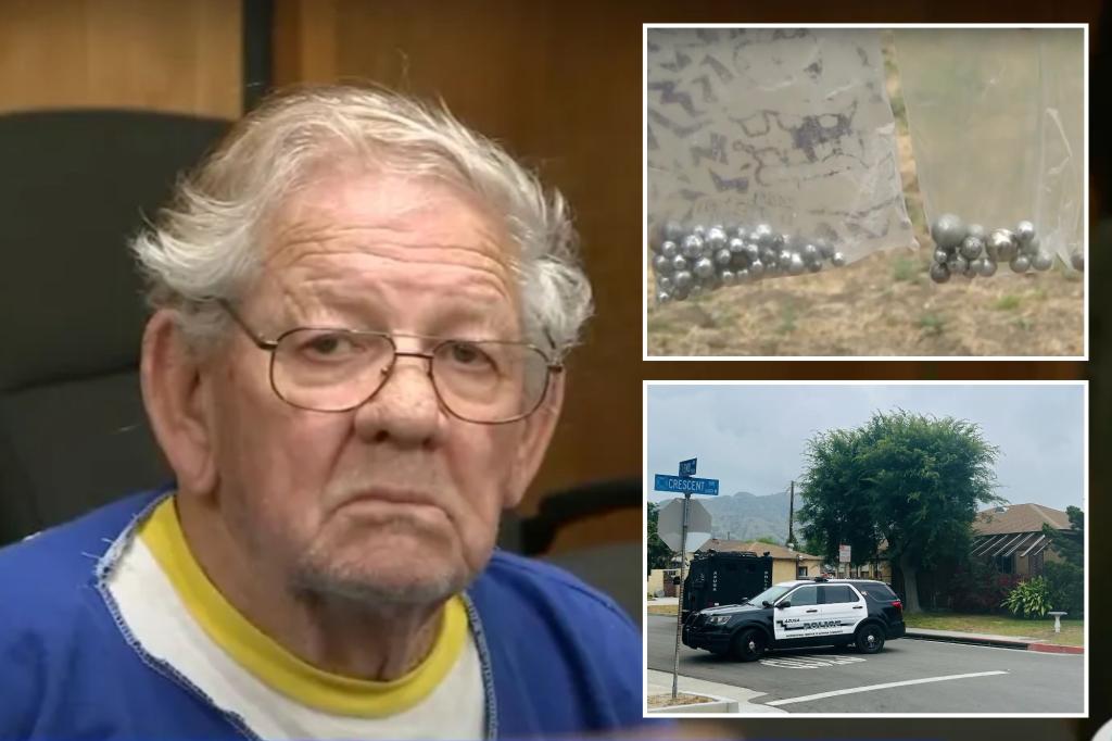 California serial slingshot shooter Prince Raymond King who terrorized ...