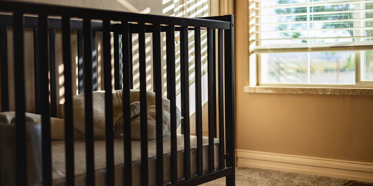 6-week-old baby mauled to death in crib by family dog - Total News