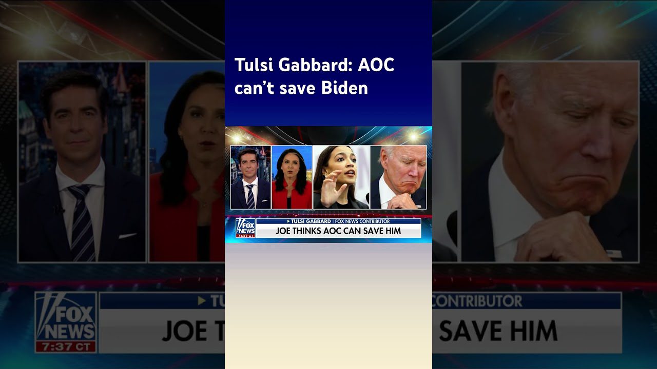 Tulsi Gabbard: Democrats Are Trotting Aoc Out #shorts - Total News