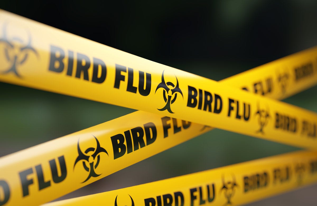 Michigan counties report additional bird flu outbreaks Total News