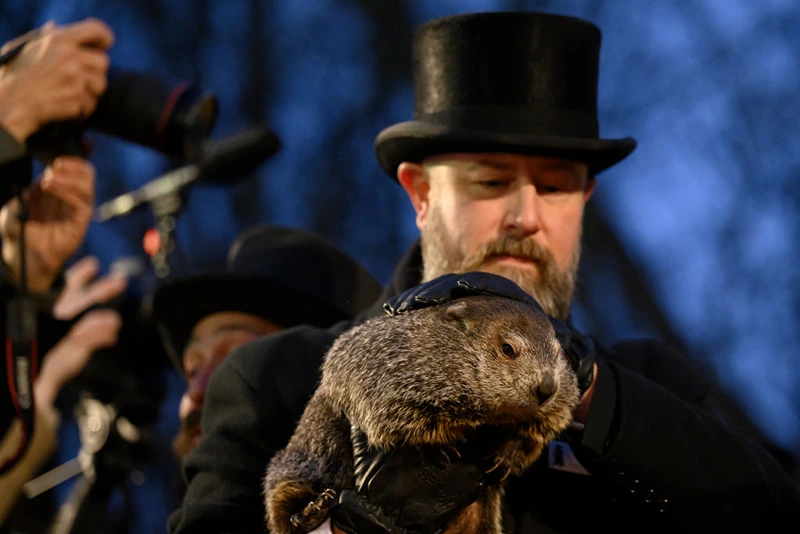 how to see punxsutawney phil on groundhog day 2025