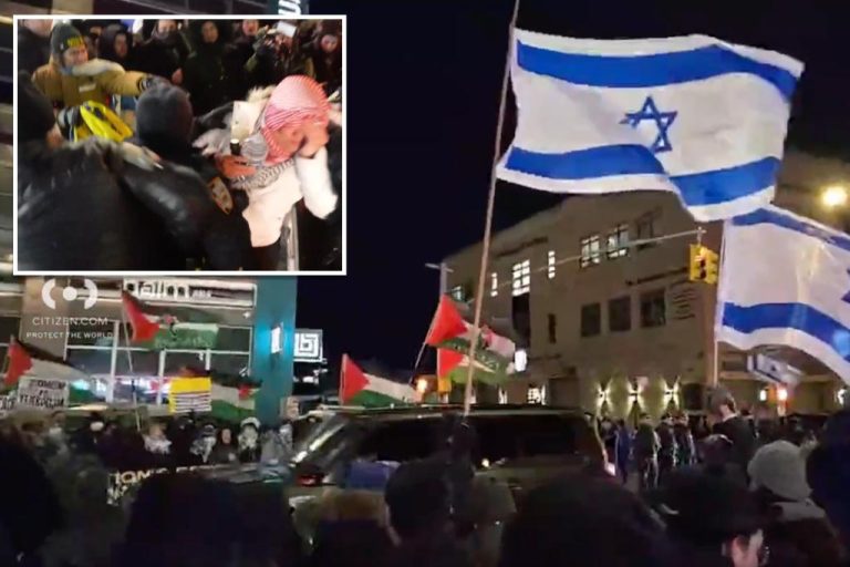 Anti-Israel protest erupts into mayhem in Orthodox Jewish neighborhood ...