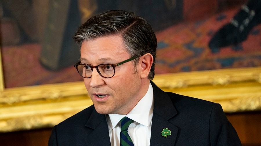 Johnson stresses Congress's power over courts: 'Desperate times call for desperate measures’