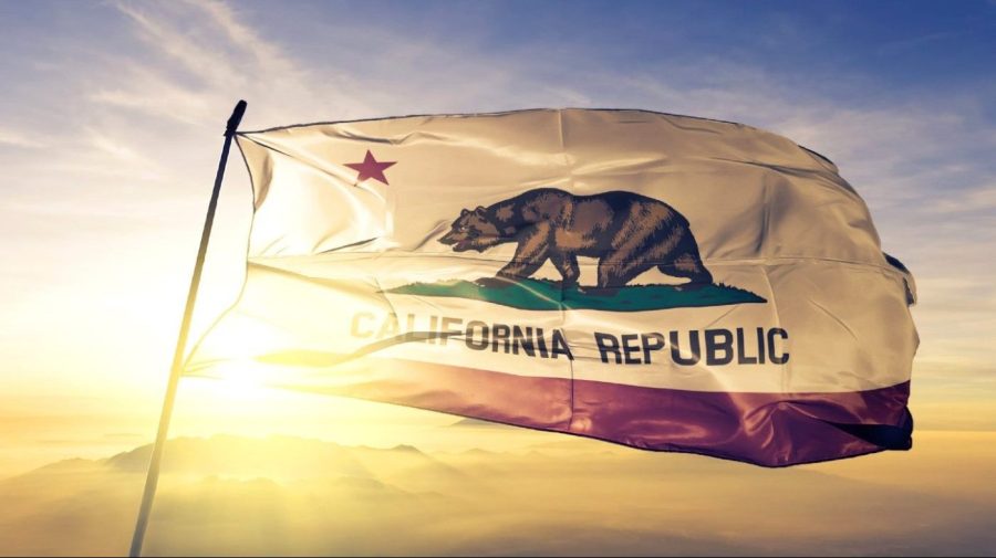 Former Fox News host Hilton enters California governor race