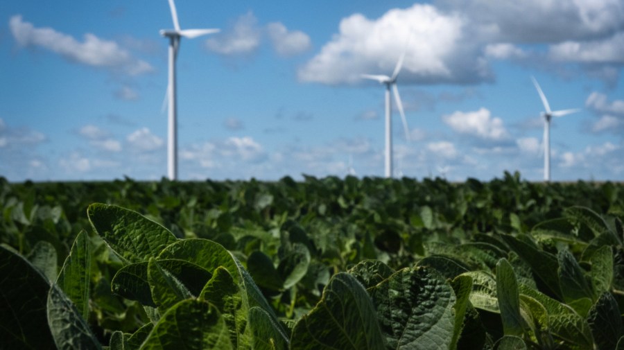 US exporters could feel the pain of sanctions aimed at China