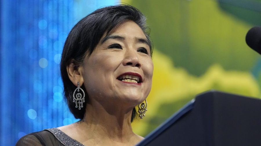 California Democrat on LA wildfire recovery: Officials doing 'everything they can'