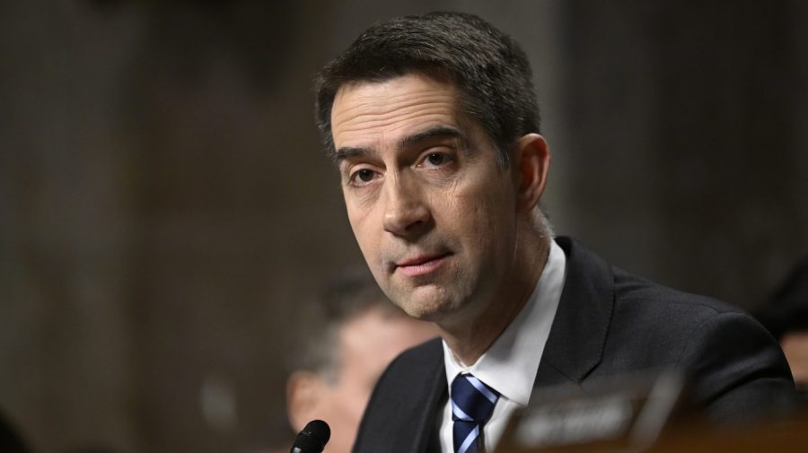 Cotton asks Gabbard not to share intel with Germany that can be used against far-right party