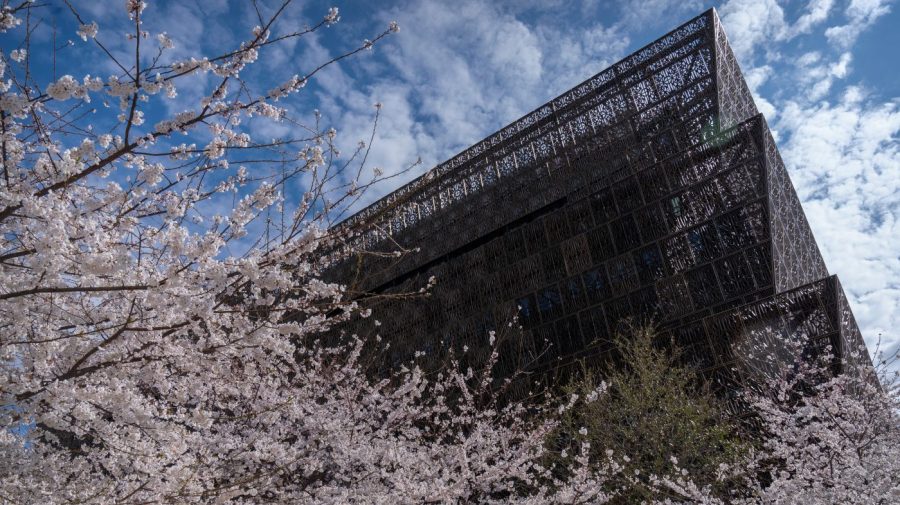 House Democrats request inspector general to probe Trump's order targeting Smithsonian