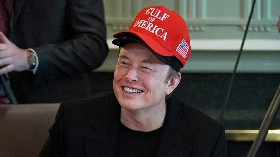 Musk says he and Trump agree ‘80 percent of the time'