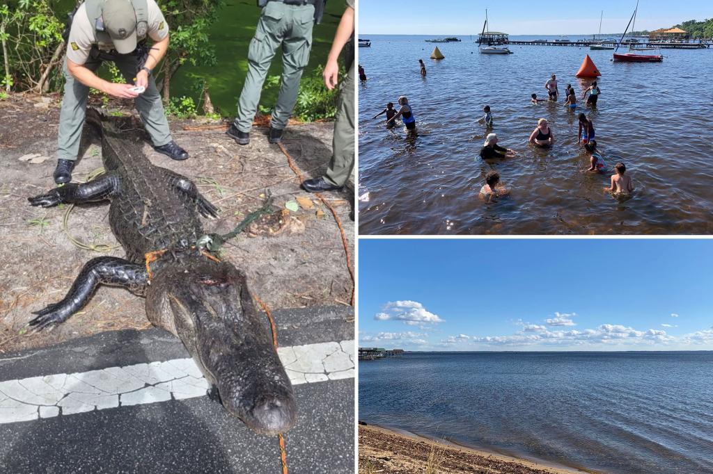 12-Year-Old Girl Injured by Alligator While Playing in Shallow Water: 'Something bit me!'