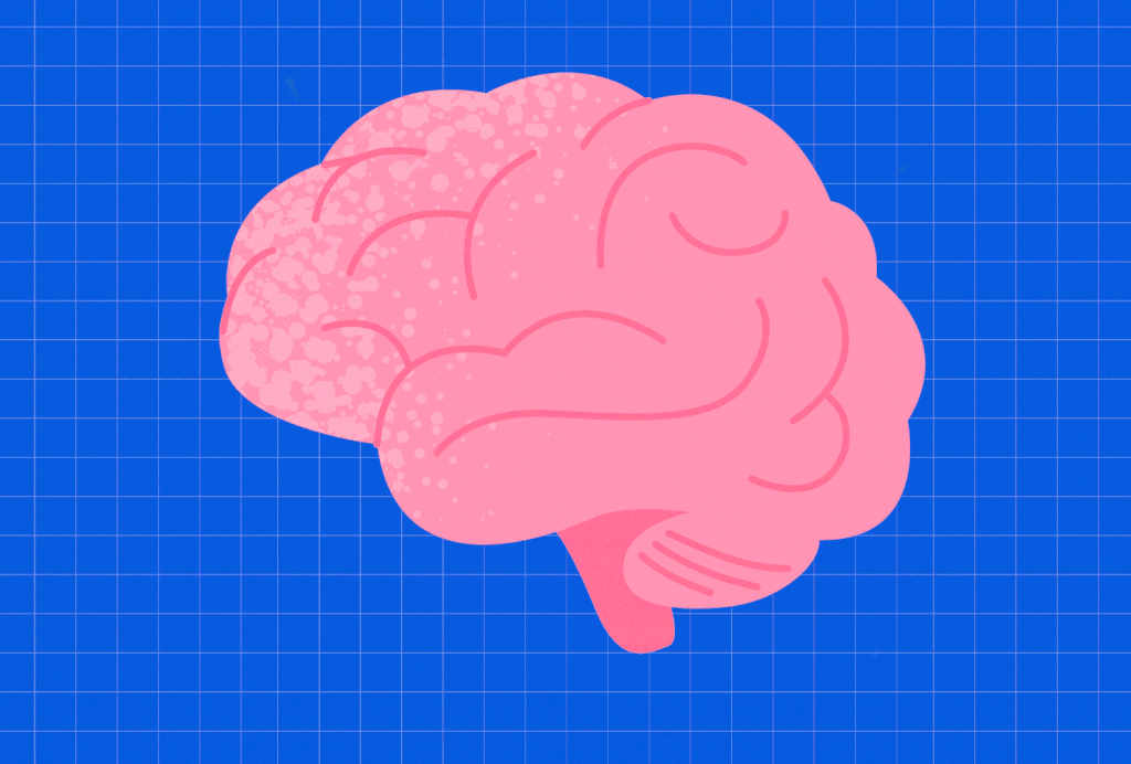 4 Nutrients You Should Consume to Avoid Dementia