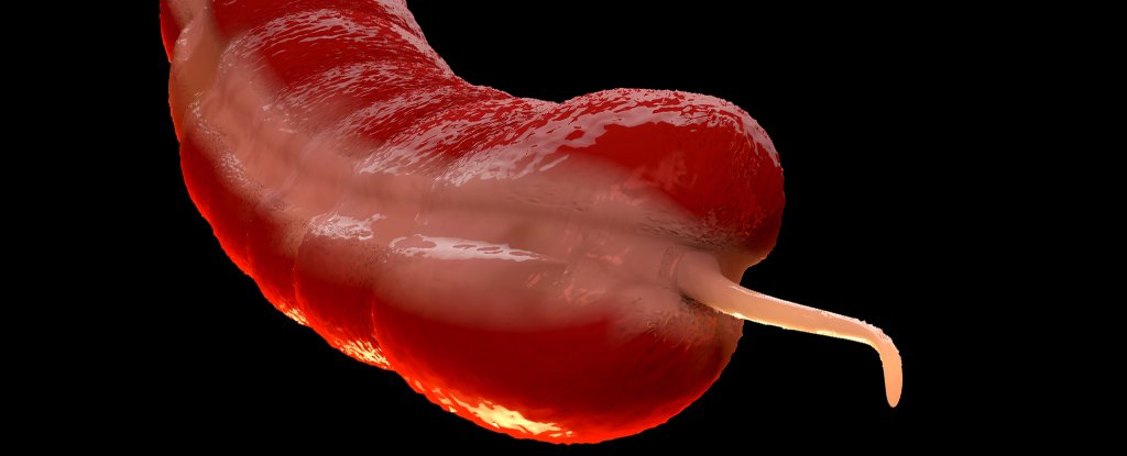 A Neglected Cancer Is Increasing Among Young People, And Experts Are Confounded