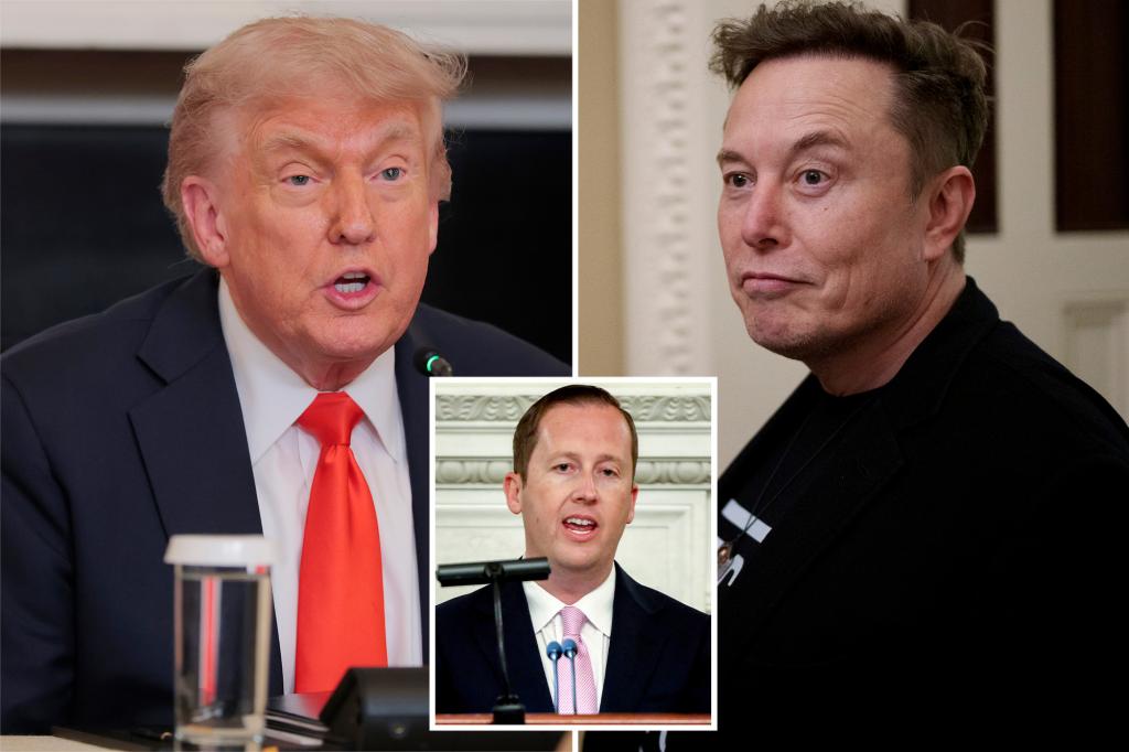 A White House employee launched a vindictive campaign against Elon Musk, stirring up tensions with Trump — while boasting about the decline in Tesla's stock.
