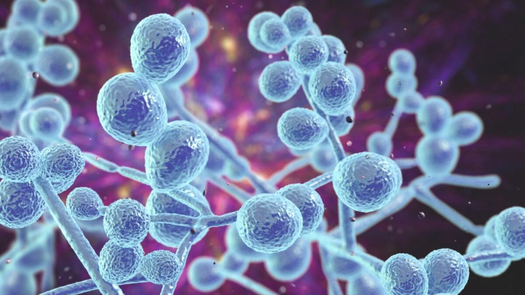 A Yeast Infection Vaccine May Be Coming Soon