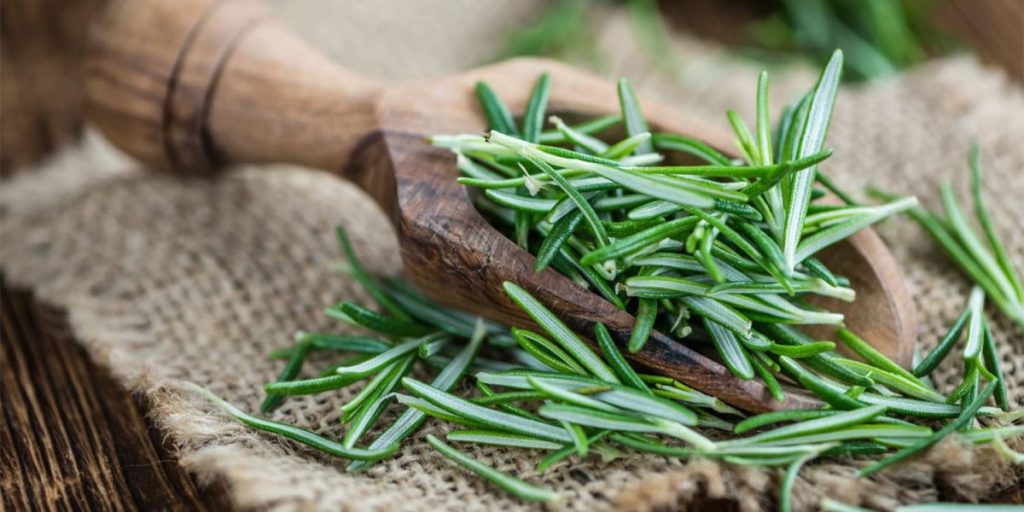 A familiar herb may be beneficial for enhancing brain health and combating Alzheimer's.