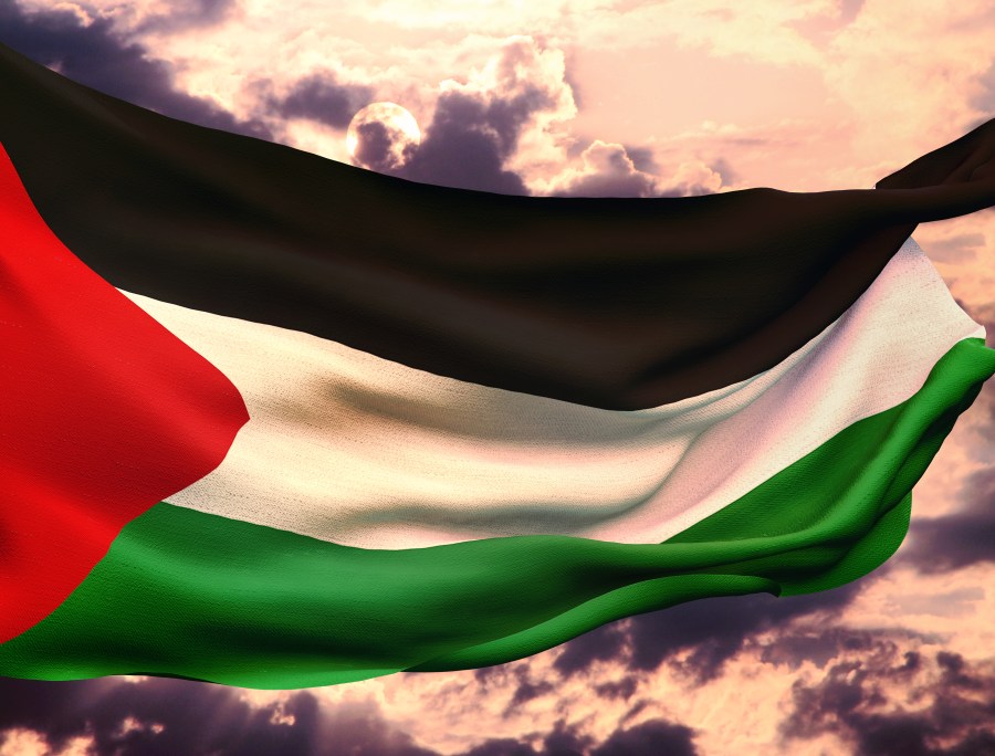 A national resolution: The United States of Palestine