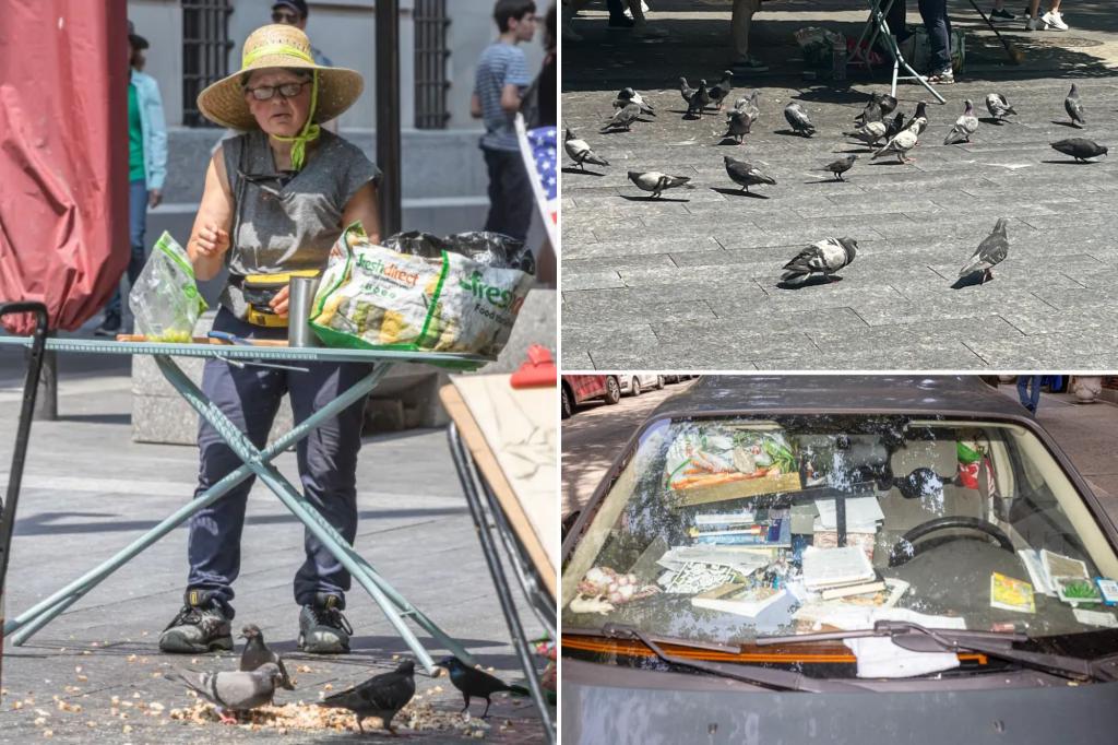 A woman taking ill pigeons from a museum in NYC is creating concern among residents: 'Some die'