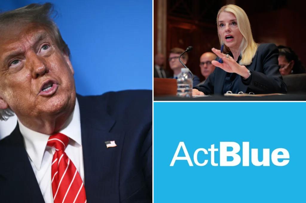 ActBlue leaders must appear before Congress as House and DOJ investigate extensive fraud on Democratic fundraising platform