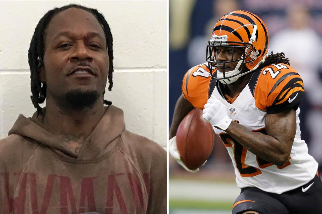 Adam 'Pacman' Jones elbows police officer during arrest: bodycam footage