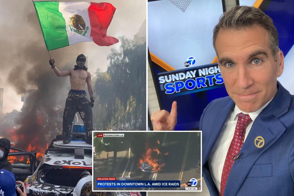 Anchor Jory Rand describes rioters as a group enjoying the sight of burning cars.