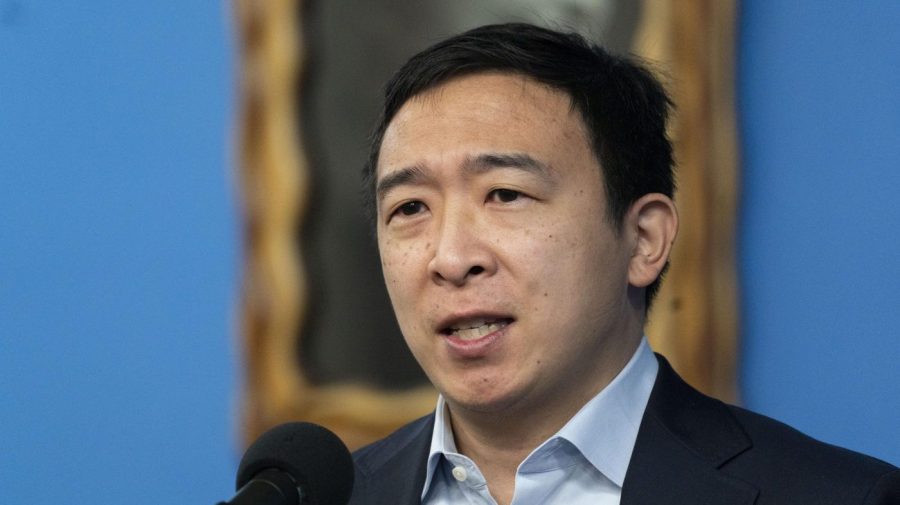 Andrew Yang reaches out to Musk to collaborate on new political party