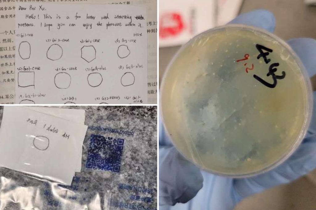 Another Chinese researcher from Wuhan accused of smuggling prohibited biological materials into the US