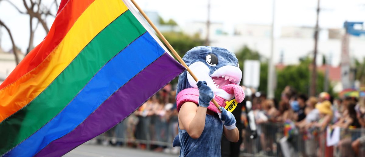 Another Significant LGBT Pride Event Loses Corporate Support During Trump's Second Term