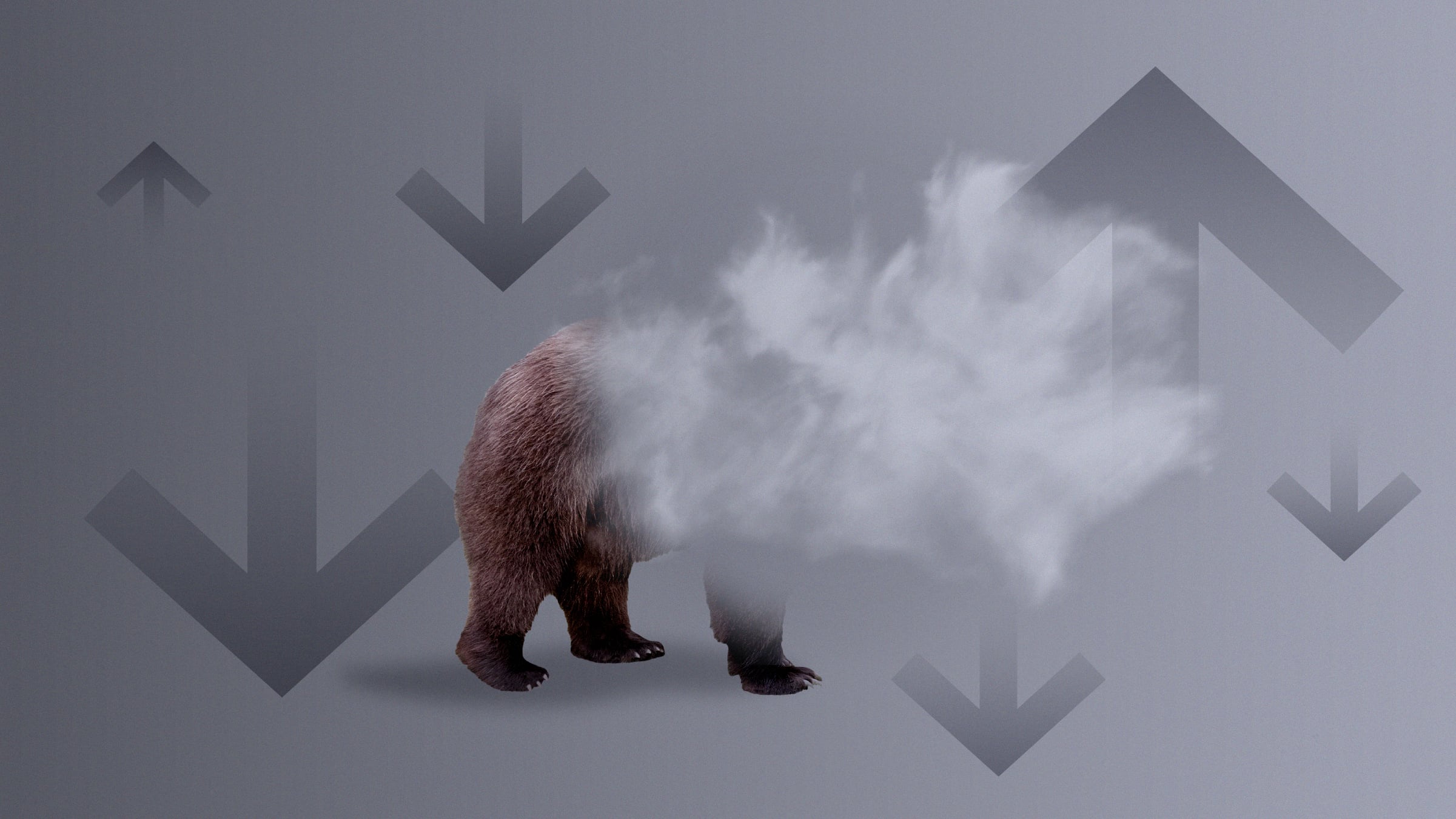 Are We in a Bull Market or a Bear Market? Here’s What to Expect for Stocks