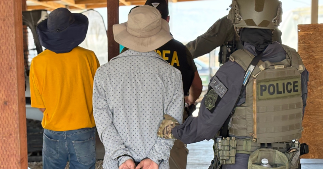 Authorities Detain 70 Undocumented Individuals at Illegal Marijuana Cultivation Locations in California: 'Crime Leads to More Crime'