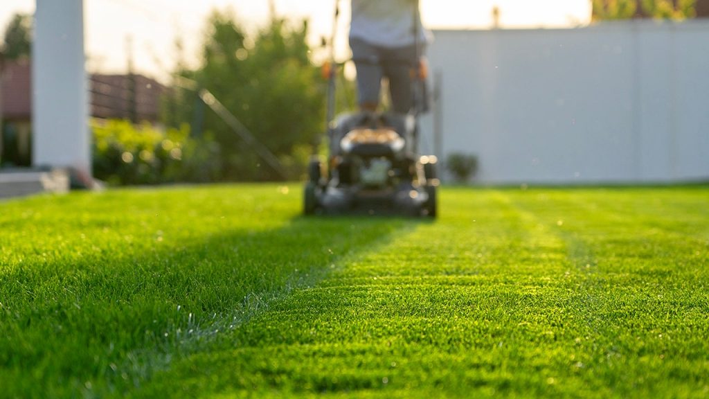 Avoiding the lawn mower might improve both physical and mental well-being, according to experts.