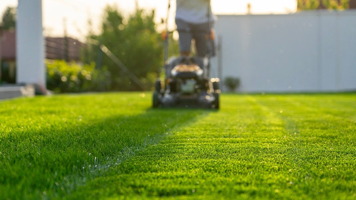 Avoiding the lawn mower might improve both physical and mental well-being, according to experts.