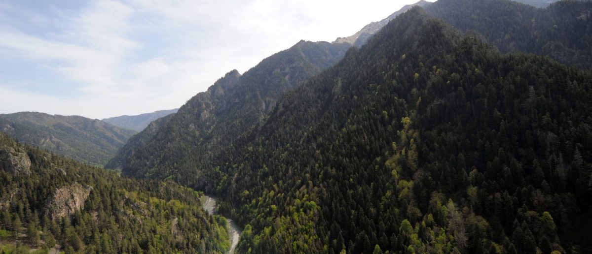 Benji Backer: The Negative Impact of Selling Off Public Lands on America