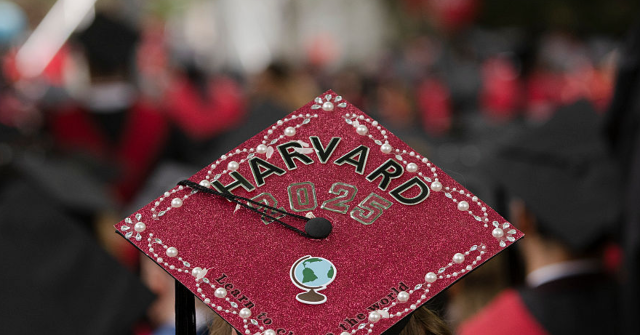 Biden Administration Fast-Tracked Transfers of White-Collar Jobs to Immigrants Through Student Visa Programs