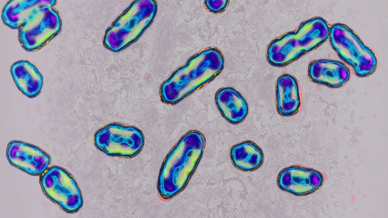 Black Death: Bacterial gene mutation facilitated the spread of the plague worldwide