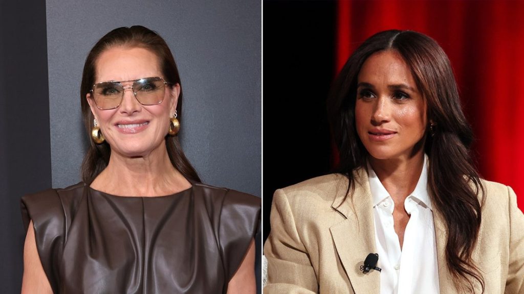 Brooke Shields explains her reason for interrupting 'too precious' Meghan Markle during a discussion.