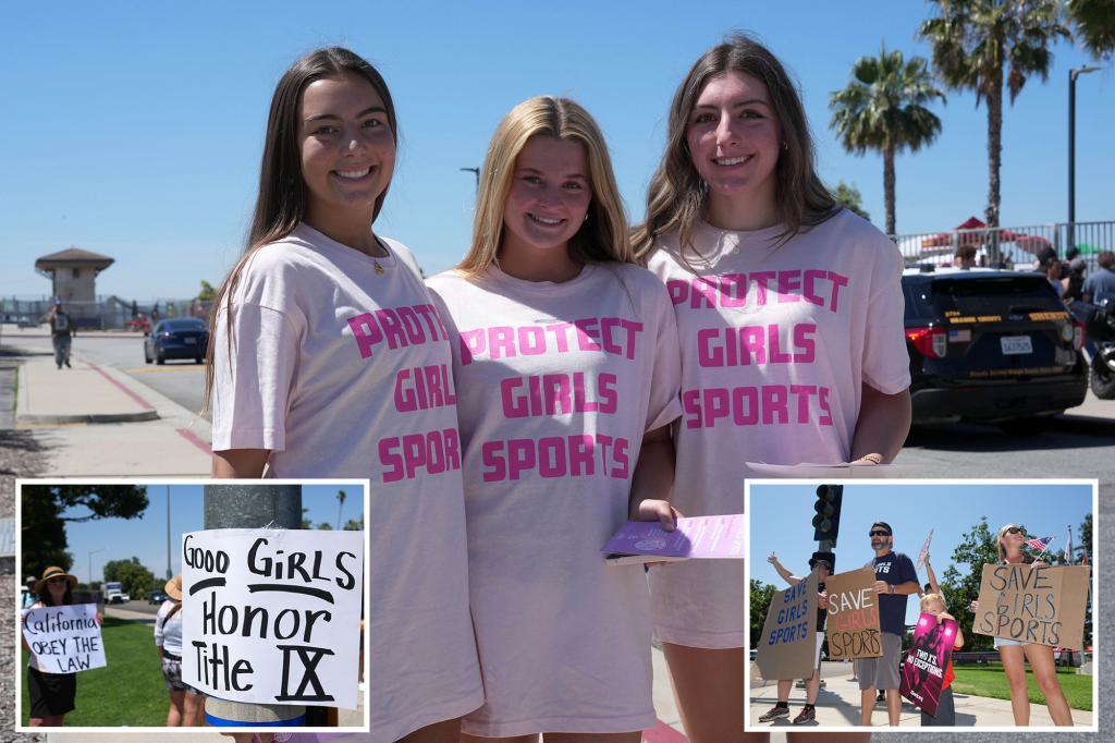 California alerted following investigation reveals 'clear breach' of Title IX