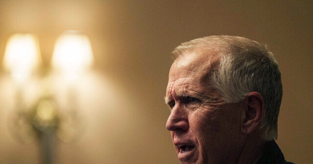 'Campaign Begins Targeting Thom Tillis for Connection to Woke Corporations'