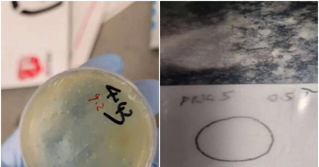 Chinese Individual Arrested and Accused of Smuggling Biological Materials