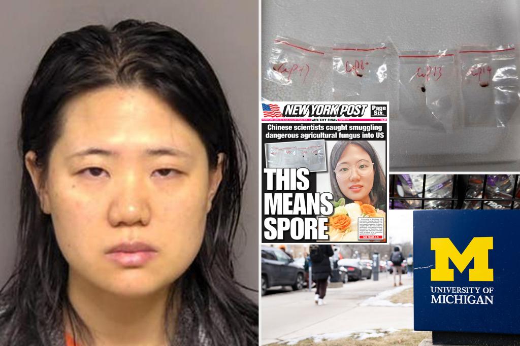 Chinese researcher accused of attempting to smuggle harmful fungus into the US will stay in custody while looking for private legal representation