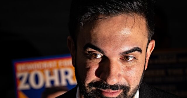 City Candidate's Plan for City-Operated Grocery Stores Suggests Corruption